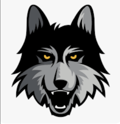 Loyola Chicago Logo