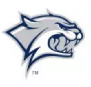 New Hampshire (W) Logo
